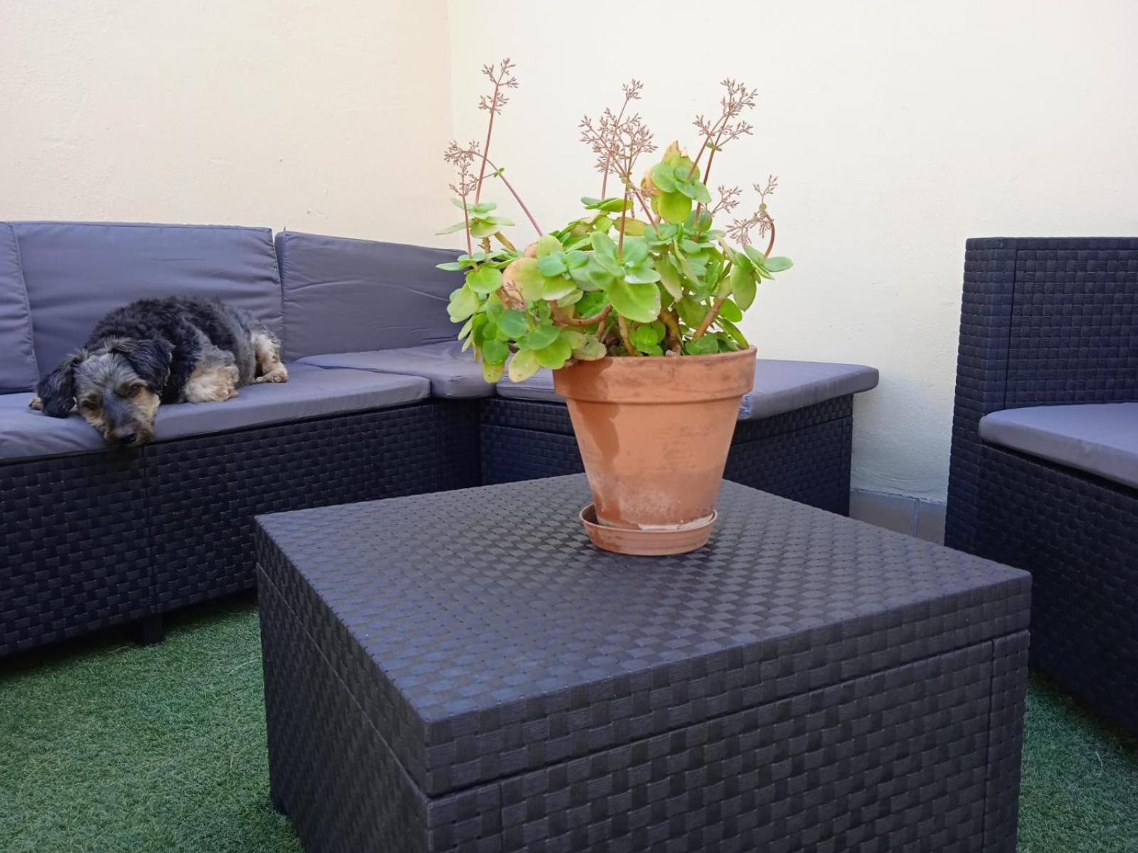 Livingtarifa Apartamento Nano Екстер'єр фото