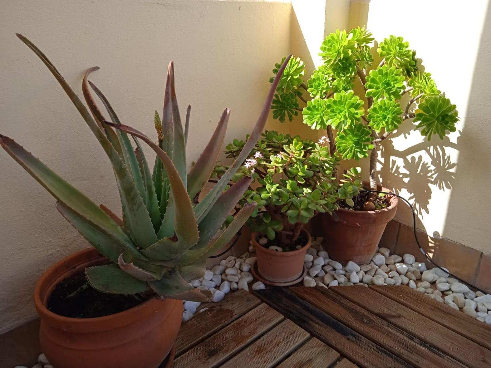 Livingtarifa Apartamento Nano Екстер'єр фото