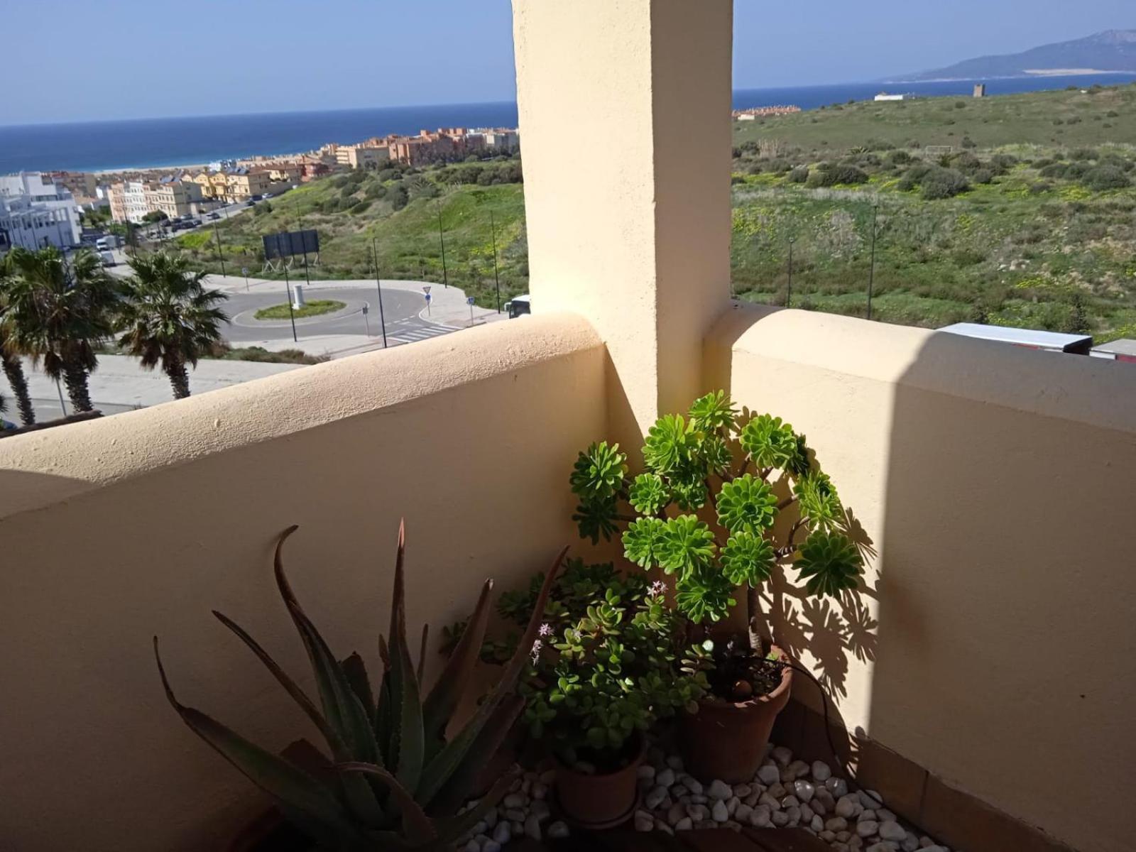 Livingtarifa Apartamento Nano Екстер'єр фото